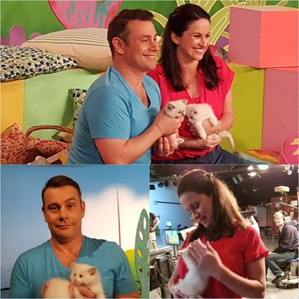 Play_School_2018