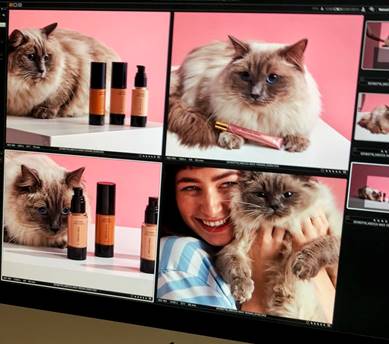 Dollcatz Ragdolls Mecca Max Cosmetics Commercial